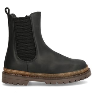 Gattino G1703