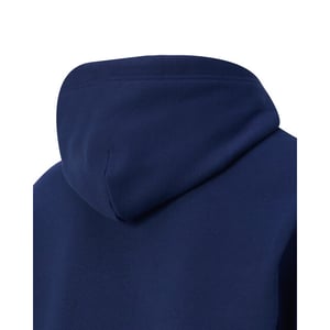 Ralph Lauren Hoodie donker