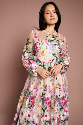 Petite Long Sleeve Embroidered Maxi Dress