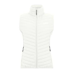 Regatta Dames/Dames Andreson Hybride Gilet (Wolk)