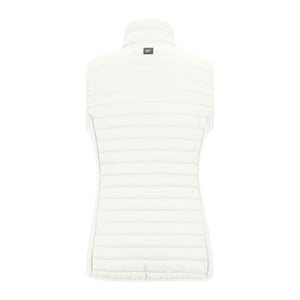 Regatta Dames/Dames Andreson Hybride Gilet (Wolk)