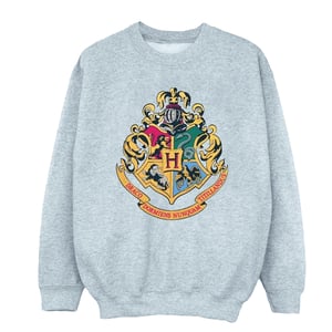 Harry Potter Jongens Sweatshirt met Gouden Inkt en Zweinsteinrest (Sportgrijs)