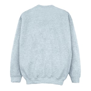 Harry Potter Jongens Sweatshirt met Gouden Inkt en Zweinsteinrest (Sportgrijs)