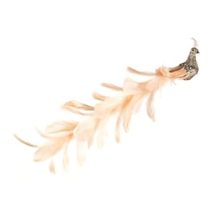 Premier Peacock Christmas Decoration (Gold)