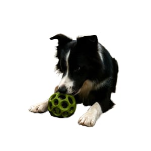 Nike Max Fusion Helix Dog Toy (Green)