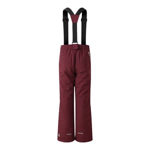 Dare 2B Kinderen/Kinderen Outmove II skibroek (Afb.)