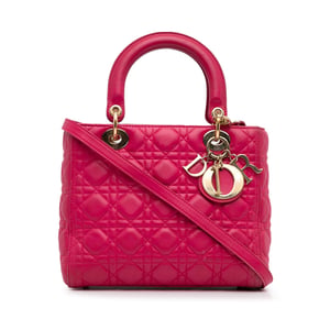Lady Dior Top Handle Leather Bag