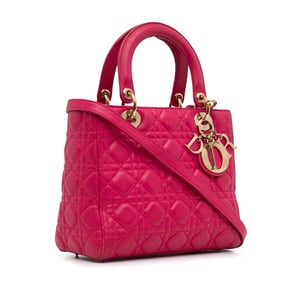 Lady Dior Top Handle Leather Bag