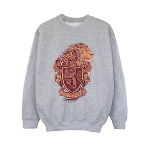 Harry Potter Jongens Gryffindor Schets Crest Sweatshirt (Sportgrijs)