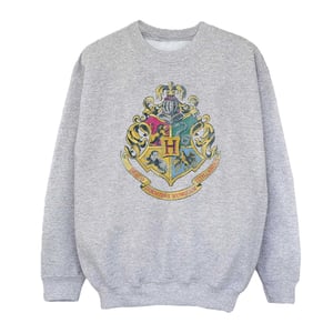 Harry Potter Meisjes Zweinstein Huizen Katoenen Sweatshirt (Sportgrijs)