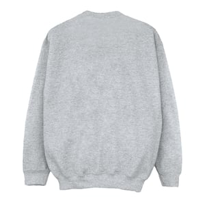 Harry Potter Meisjes Zweinstein Huizen Katoenen Sweatshirt (Sportgrijs)
