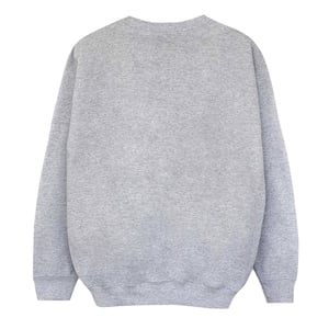 Harry Potter Jongens Ravenclaw Sweatshirt (Sportgrijs)