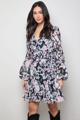 Printed Pleated Skirt Long Sleeve Mini Dress