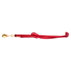 Bvlgari Divas’ Dream Bracelet in Red Cotton