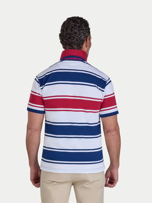 Wide Stripe Jersey Polo