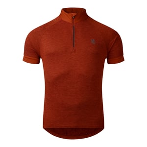Dare 2B Heren Pedal It Out II Jersey (Arabische kruiden)