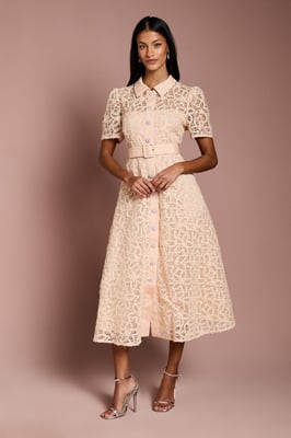 Petite Floral Lace Collared Midi Dress