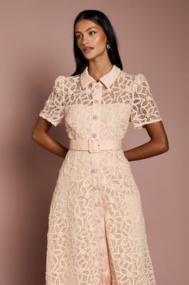 Petite Floral Lace Collared Midi Dress