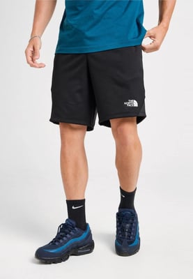 The North Face Mens Mountain Athletics Shorts in Black
