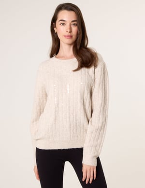 Round Neck Jumper With Sequin