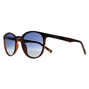 Polar Rond Unisex Havana Blauw Gradiënt Echo
