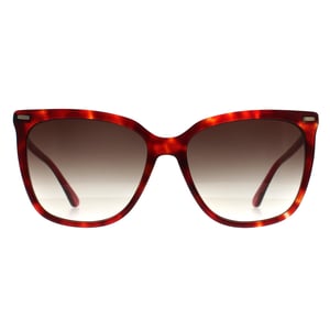 Calvin Klein Butterfly Dam Burgundy Havana Brun Gradient CK22532S