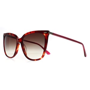 Calvin Klein Butterfly Dam Burgundy Havana Brun Gradient CK22532S