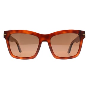 Serengeti Square Dam Shiny Classic Havana Mineral Polarized Drivers Winona
