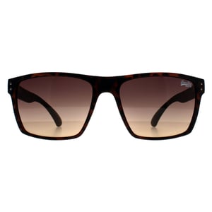 Superdry Square Mens Havana Brown Kobe