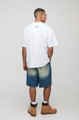 Regular Fit Panelled Embroidered Jorts