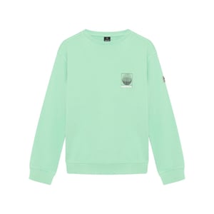 Indian Blue Sweat 960557