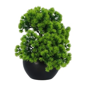 Kopu ® kunstplant bonsai lariks 37 cm met zwarte pot bonsai boompje