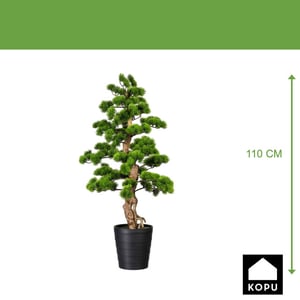 Kopu ® bonsai dennen boom ca. 110x50 cm in een zwarte plastic pot