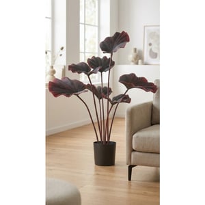 Kopu ® palmboom 100 cm donkerrood in een zwarte plastic pot kamerplant