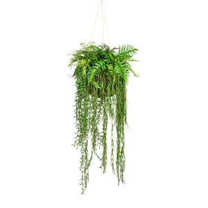 Kopu ® kunstplant decoratieve bal met varens en mos 40x120cm