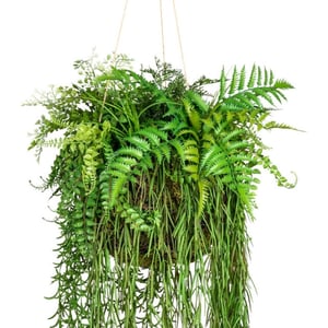 Kopu ® kunstplant decoratieve bal met varens en mos 40x120cm