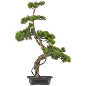 Kopu ® bonsai dennenboom ca. 70x45 cm in een zwarte plastic pot