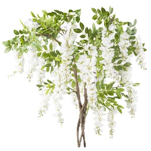 Kopu ® blauwe regen 170 cm hoog wit met gevlochten stam
