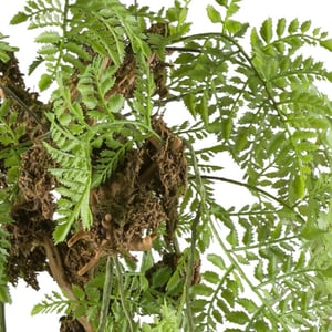 Kopu ® kunstplant varen hangplant 145cm -