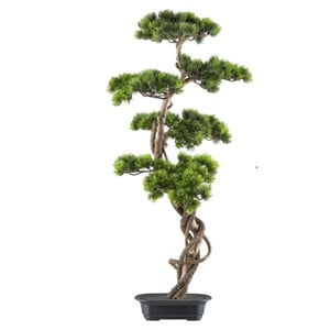 Kopu ® bonsai dennen boompje ca. 90x40 cm in een zwarte plastic pot