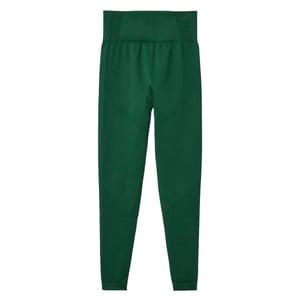 Ellesse Dames Garceau Leggings (Donkergroen)