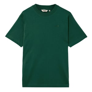 Ellesse Heren Acciano T-shirt (Donkergroen)