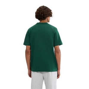 Ellesse Heren Acciano T-shirt (Donkergroen)