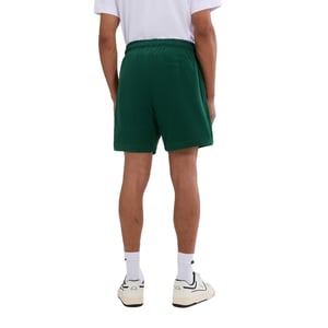 Ellesse Heren Zanica Shorts (Donkergroen)