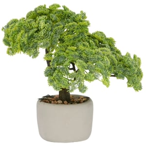 Kopu ® set van 2 bonsai boompjes sedum multiceps 24 cm grijze pot