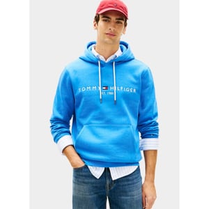 Tommy Hilfiger Hoodie tommy logo hoody mw0mw11599/c4u
