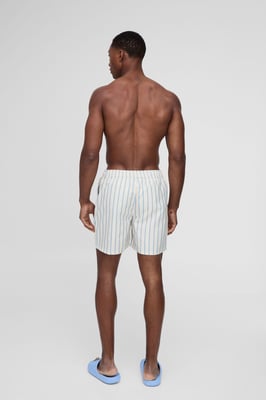 Mid Length Stripe Swim Short