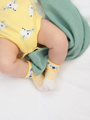 Kite Clothing Koala Time Socks