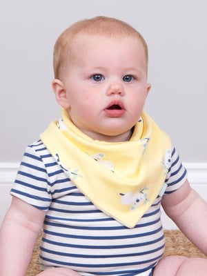 Kite Clothing Koala Time Bib