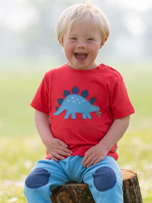 Kite Clothing Steggie Stomp T-Shirt